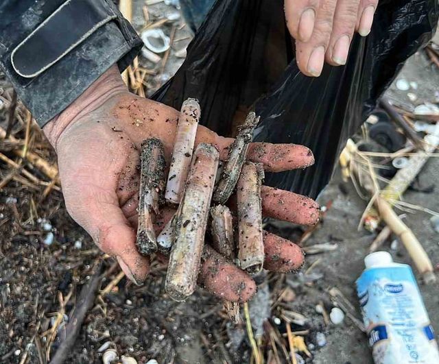 Mersin Adanalıoğlu sahiline fırtına sonrası binlerce kargı midyesi vurdu