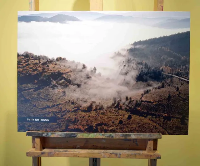 “Ahşabın Cazibesi” belgeselinin ilk gösterimi Kastamonu’da yapıldı