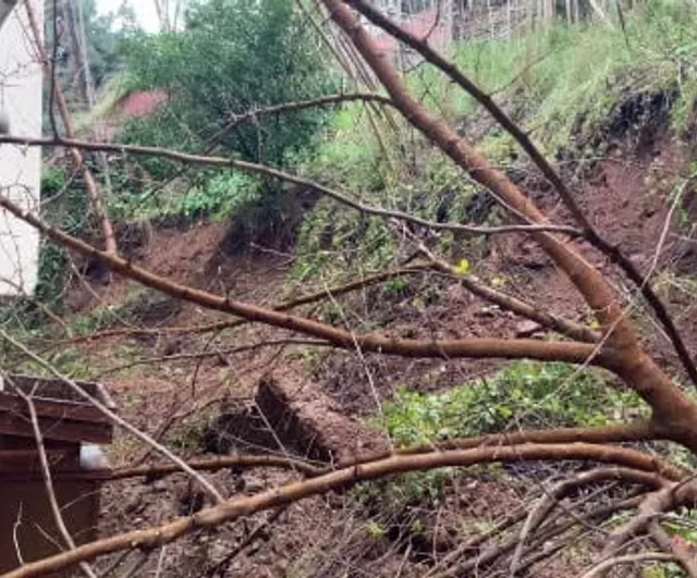 Bursa'da yoğun yağış sonrası istinat duvarı çöktü, ağaçlar binaya devrildi