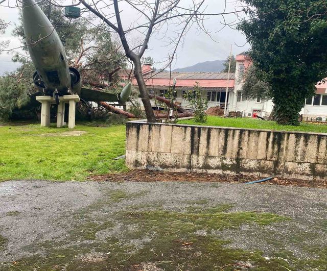 Denizli'de fırtına: Uçaklı Okul'un simge uçağına çam ağacı düştü