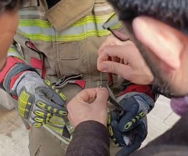 İskenderun'da ipe dolanan kuş itfaiye ekipleri tarafından kurtarıldı