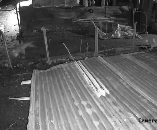 Malatya Darende'de kümese giren kurt bir kazı alıp kaçtı