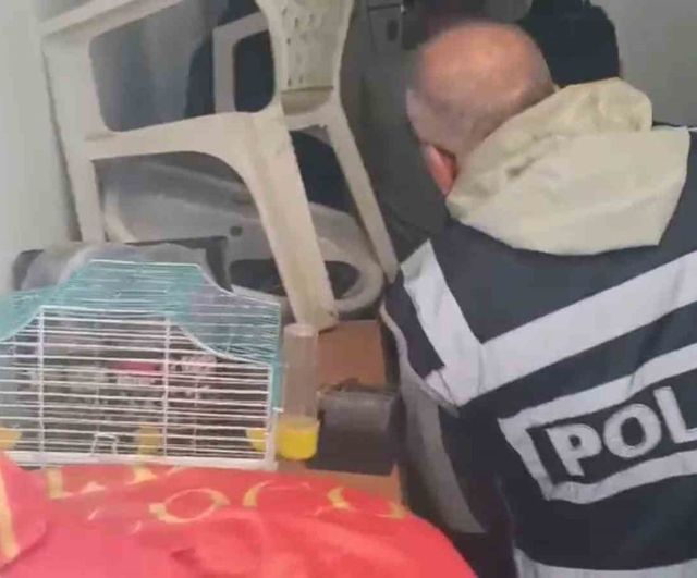 Marmaris’te Yabancı Turistlerin Kredi Kartlarını Kötüye Kullanan 4 Şüpheli Yakalandı