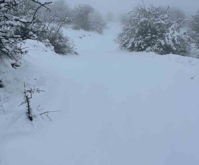 Mart Sonunda Karıncalı Dağı'nda Kar Yağışı: Bozdoğan'da Yüksek Kesimler Beyaza Büründü