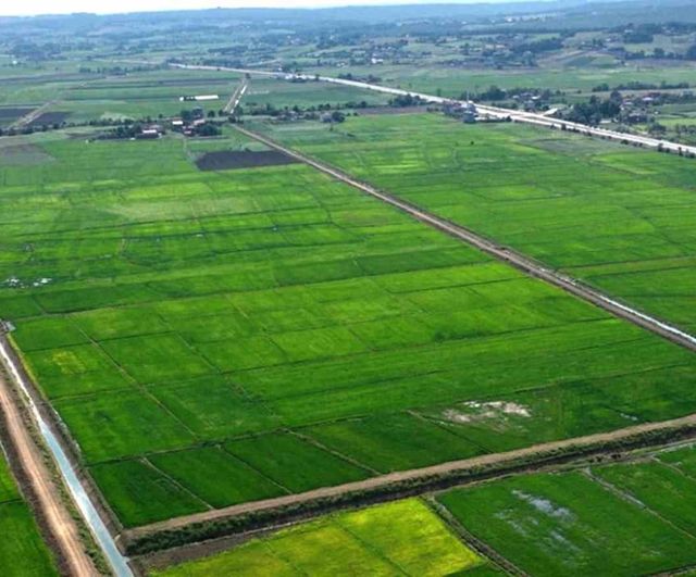 Samsun'da tarımsal alan denetimleri: 16 bin 895 m2 için 48 cezai işlem uygulandı