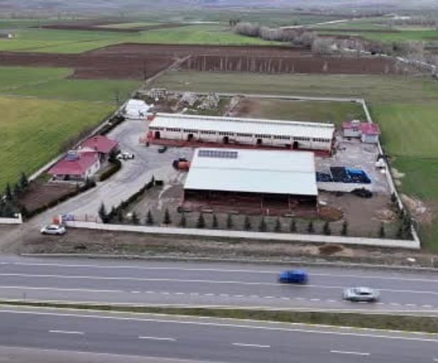 Sivaslı Enes Öksüm (20): Üniversiteyi Bırakıp Dededen Kalan Çiftliği Jersey Sığırlarıyla Modernize Ediyor