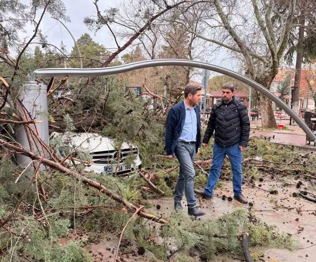 Tavas'ta Şiddetli Fırtına: Ağaçlar Devrildi, Elektrik Direkleri ve Araçlar Hasar Gördü
