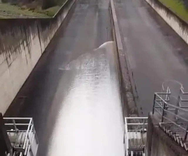 Yuvacık Barajı doluluk oranı yüzde 93'e yükseldi, kapaklar açıldı