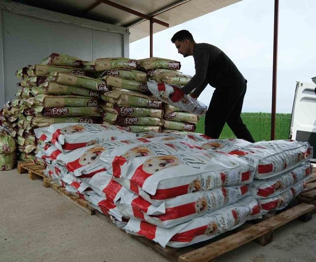 Altıeylül'de hayvanseverlerden 2 ton mama desteği: Minik Patiler Bakımevi'ne destek kampanyası