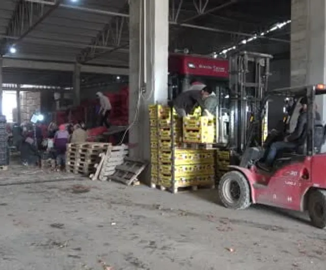 Amasya'nın coğrafi işaretli soğanı depoda 7,5 TL, pazarda 15 TL'den Avrupa'ya gönderiliyor