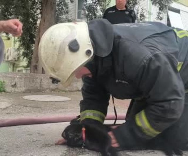 Antalya'da daire yangını: itfaiye eri dumandan etkilenen kediyi kalp masajıyla kurtardı