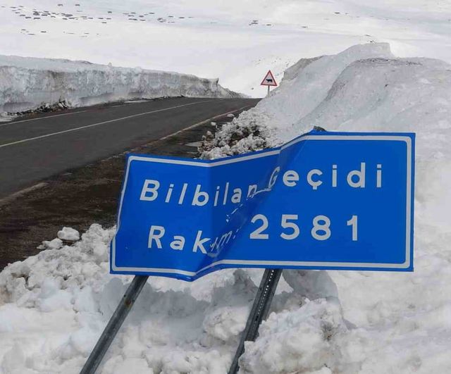 Ardahan'da 2 bin 581 metrede arıcılar Bülbülhan Geçidi'nin kışın açık tutulmasını istedi