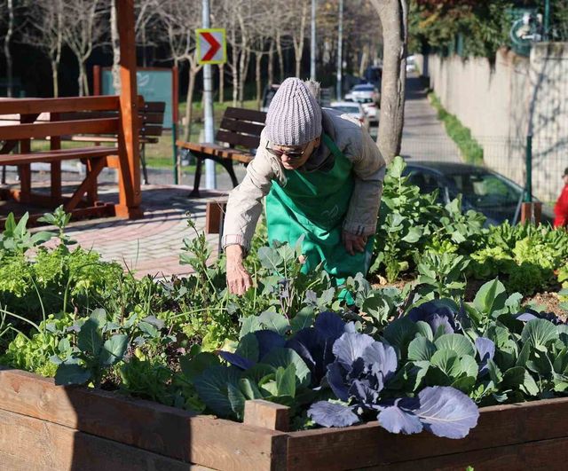 Ataşehir Kent Bostanları'nda yeni dönem: Barbaros ve Mevlana için başvurular 06-13 Nisan 2026