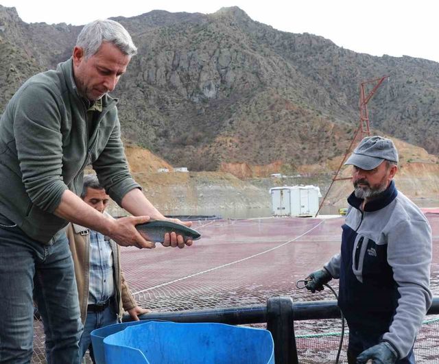 Ayvalı Barajı'nda hedef: Yıllık 250–300 ton alabalık ve somon üretimi