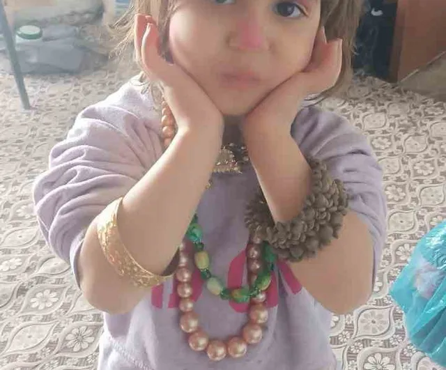 Bitlis Hizan'da kaybolan 4 yaşındaki Rabi Ilgaz için arama çalışması başlatıldı