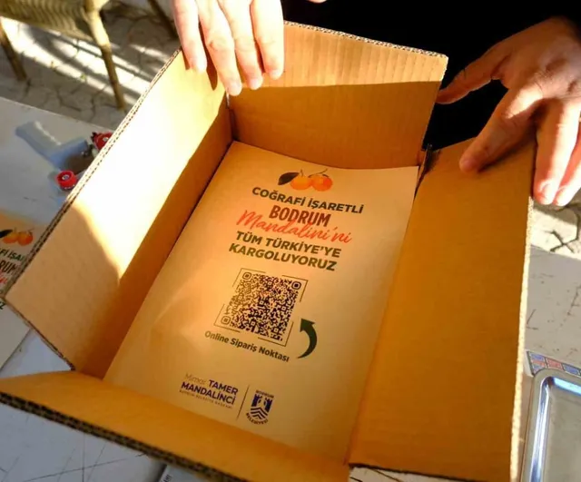 Bodrum Belediyesi'nden 103 Mandalin Üreticisine Yaklaşık 5 Milyon TL Destek