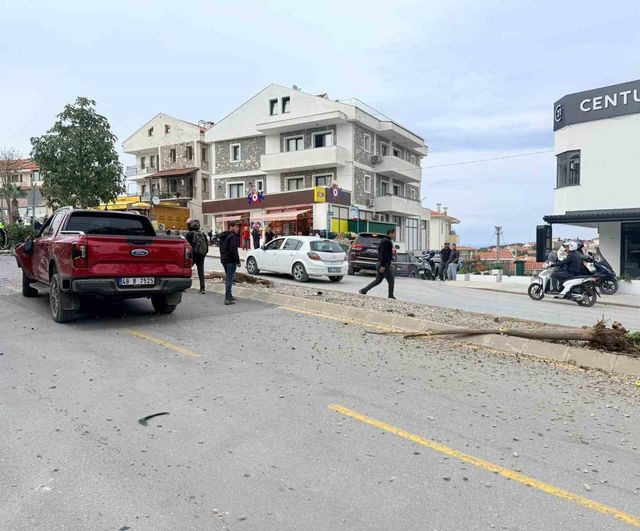 Datça'da kontrolden çıkan otomobil refüjde 2 ağacı ve bir elektrik direğini devirdi: Yaralanma yok