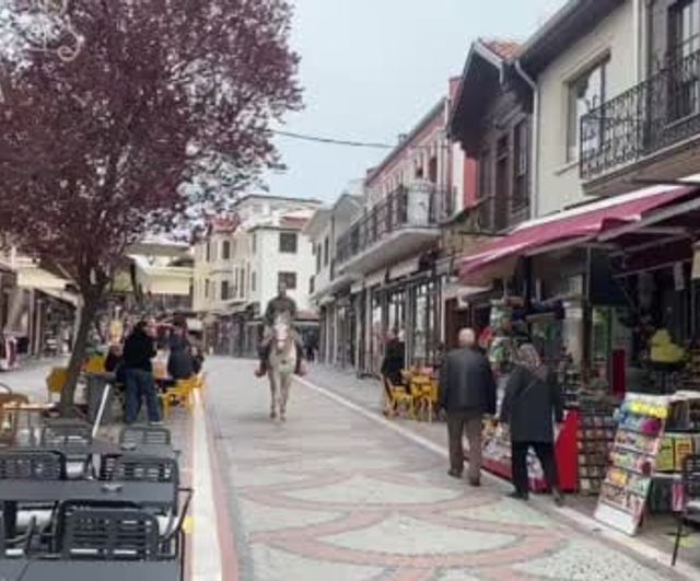 Edirne'de Saraçlar Caddesi'nde beyaz atla gezinti ilgi çekti