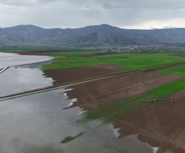 Elazığ Keban Barajı'nda 7 yılda dramatik değişim: 2019'da 4 km çekilen su, 2026'da 150 m ilerledi