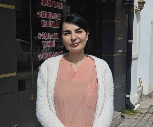 Eskişehir'de Hamile Kedi Veteriner Kliniğine Sığındı ve Klinikte 4 Yavru Doğurdu