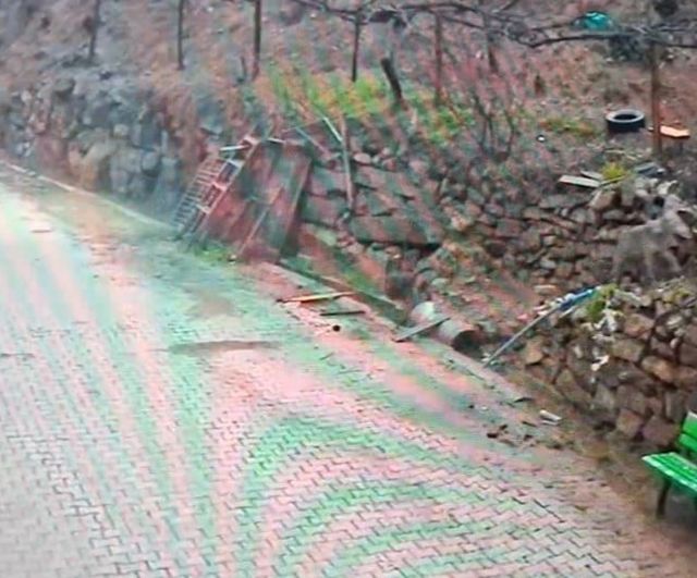 Feke'de yerleşim alanına inen kurt güvenlik kamerasına yansıdı