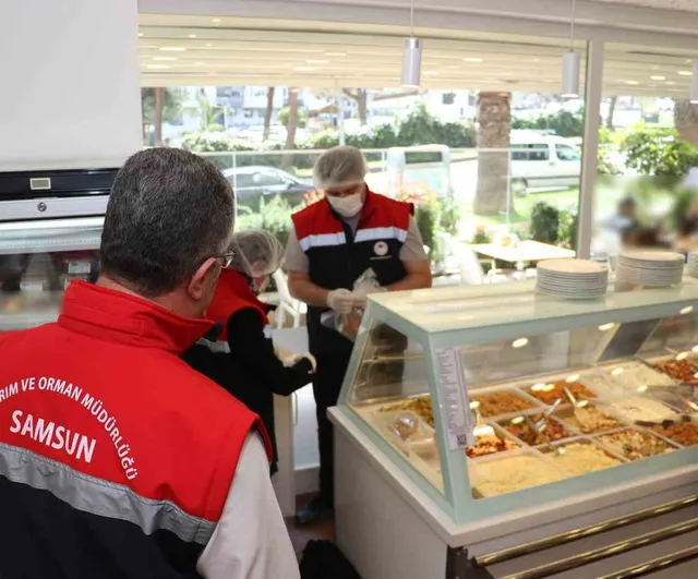 Gıda güvenliğinde dijital adım: 'Güvenilir Gıda' uygulaması hizmete girdi