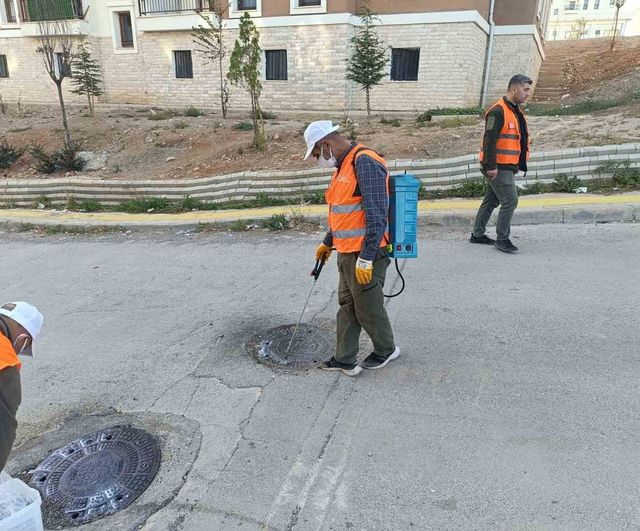 Kahta Belediyesi, yaz öncesi haşereyle mücadeleyi yoğunlaştırdı