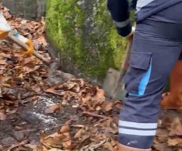 Kocaeli'de Serdar Arslan cinayeti davası: İki sanığa ağırlaştırılmış müebbet, birine müebbet