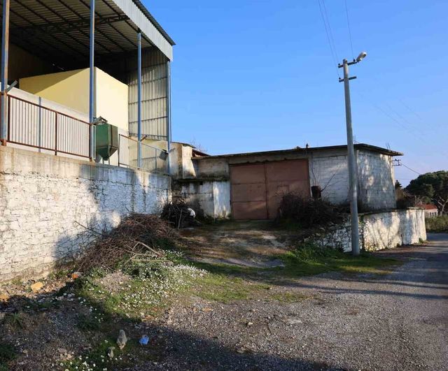 Koçarlı'da milyonluk yatırım atıl kaldı: Mazon Bölgesi Çam Fıstığı Kooperatifi çürümeye terk edildi