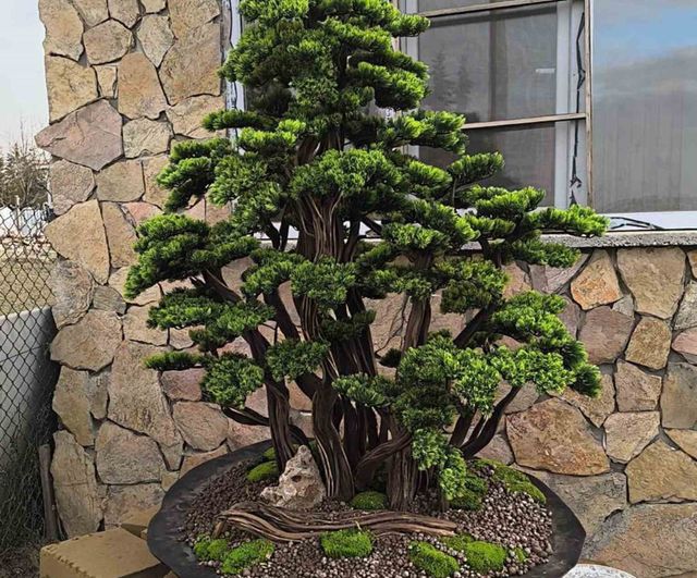 Marmaris'te kuruyan Geven köylünün gelir kaynağına dönüştü