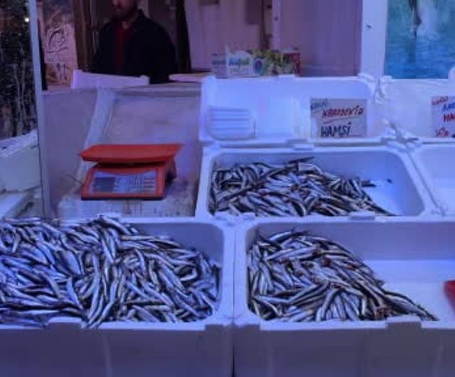 Sakarya’da Sezonun Son Balıkları Tezgâhlarda: 15 Nisan’da Genel Av Yasağı Başlıyor