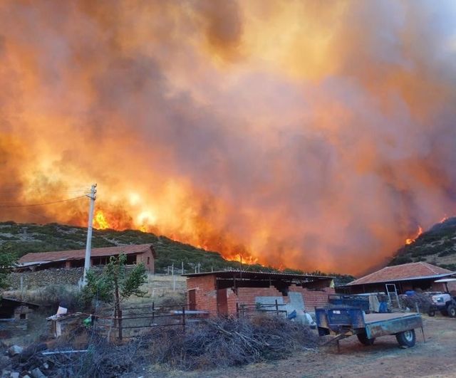 Salihli'de orman yangını riskine karşı 01 Mayıs-31 Ekim 2026 anız ve bitki örtüsü yakma yasağı