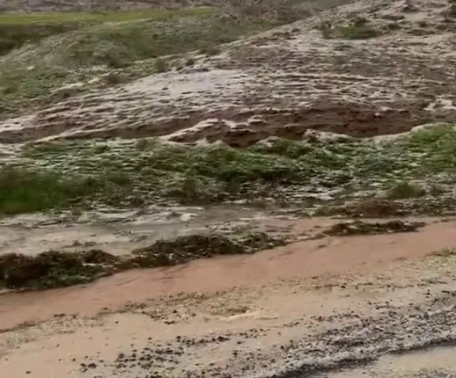 Siirt'te Dolu Etkili Oldu: Kurtalan'da Bağ ve Bahçelerde Hasar