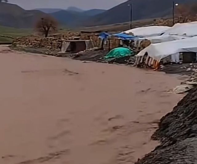 Siirt’te sağanak yağışlar hayvancılığı olumsuz etkiledi