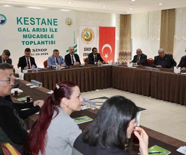 Sinop kestanesi için gal arısı tehdidi ve biyolojik mücadele hedefleri
