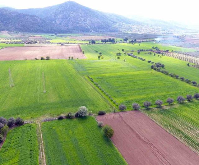 Tarım ve Orman Bakanlığı: Muğla'ya 23 Yılda 56 Milyar 348 Milyon TL Yatırım