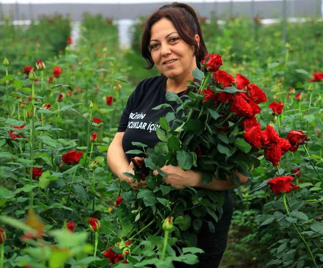 Adana’da Anneler Günü Öncesi: Serada 5 TL’ye Gül, Çiçekçide 50–100 TL