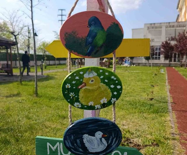 Akyazı KYK öğrencileri çevre temizliği yaptı, bahçeyi gül fidanlarıyla süsledi