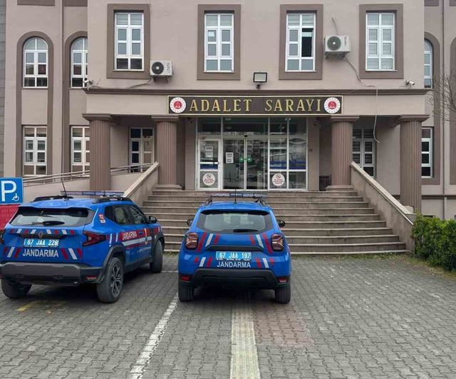 Alaplı’da jandarma operasyonu: 2 kişi bonzai ticaretinden tutuklandı