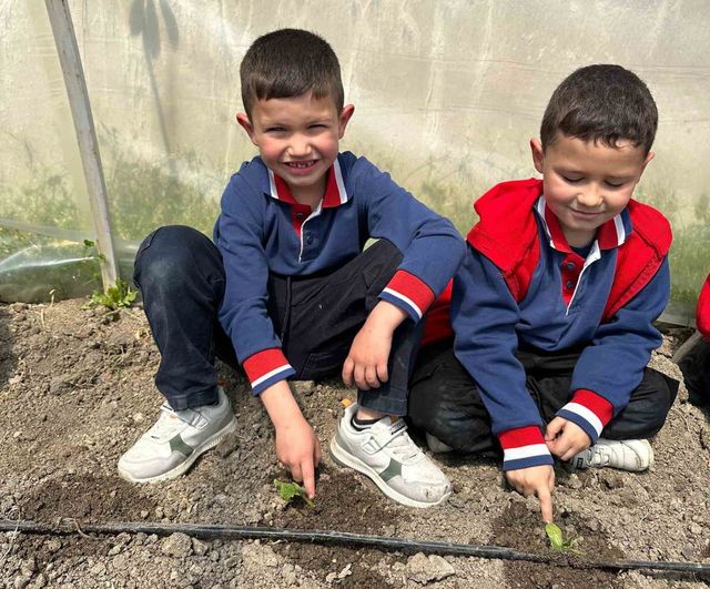 Altıntaş'ta Zafer İlkokulu öğrencileri 'Yerli Tohum Tarım Atölyesi' kapsamında salatalık fidesi dikti