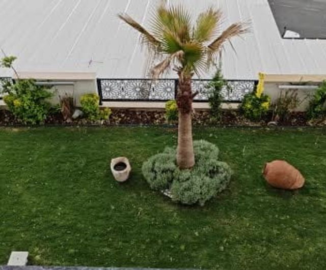 Demirci'de Şiddetli Dolu Kiraz Bahçelerinde Endişe Yarattı