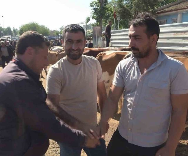 Diyarbakır Canlı Hayvan Borsası'nda Kurbanlık Hareketliliği