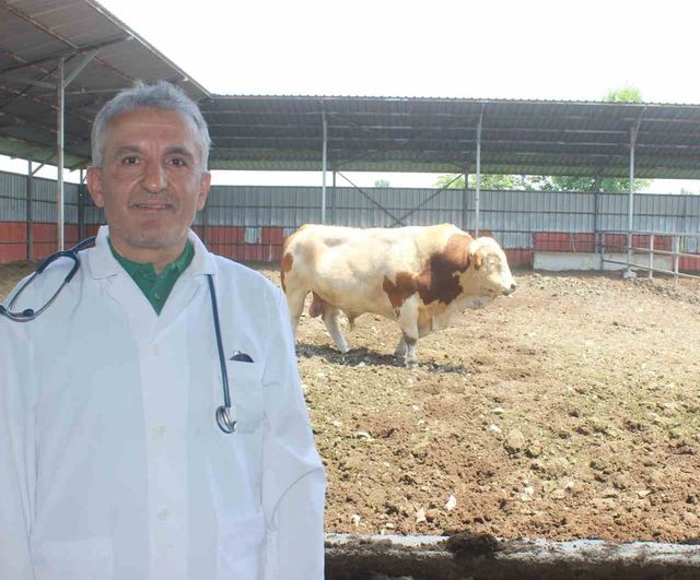 Düzce Veteriner Hekimleri Odası Başkanı Karanfil’den Kurban Kesimi Uyarıları: "Kesime 6 Saat Kala Yem Verilmeyin"