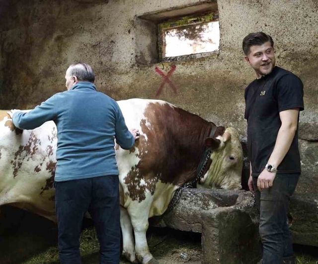 Erzurum Canlı Hayvan Pazarı'nda 1 ton 250 kg'lık tosun 550 bin TL'ye satıldı