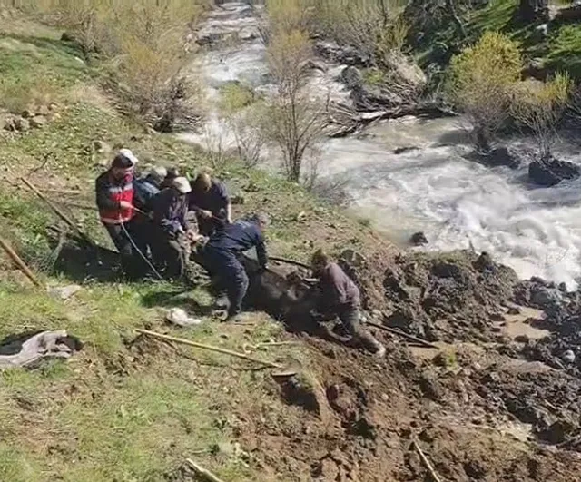 Hakkari Otluca'da Bataklığa Saplanan İnek, İtfaiye ve Vatandaşların İşbirliğiyle Kurtarıldı