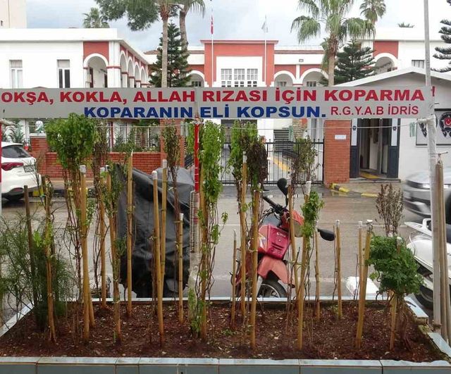 Hatay'da berber İdris Özbek, annesinin sevdiği reyhanı 40 yıldır işyeri önünde yaşatıyor