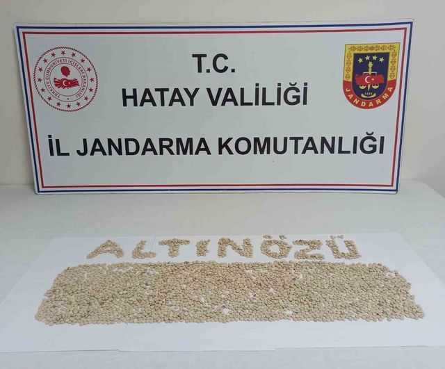 Hatay'da Jandarma'nın Geniş Asayiş ve Kaçakçılık Operasyonu: 71 Şüpheli Hakkında İşlem