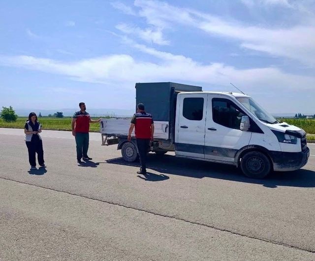 Hatay'da Kurban Bayramı Öncesi Hayvan Sevkiyatlarına Sıkı Denetim