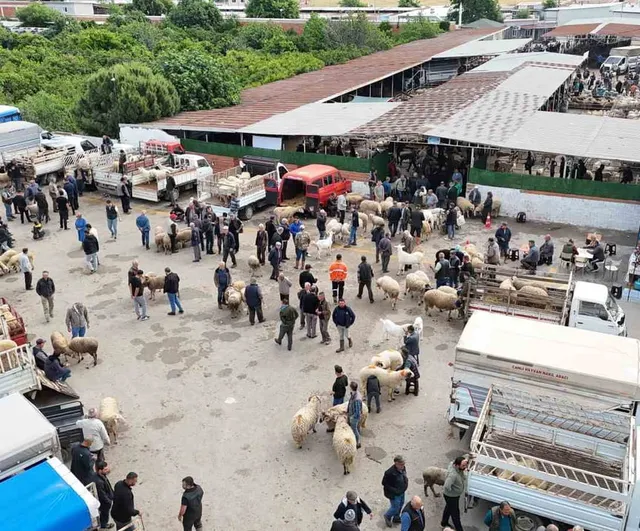 Havran Hayvan Pazarı’nda Arefe Yoğunluğu: 22 Dönümlük Yeni Alan Trafiği Rahatlattı