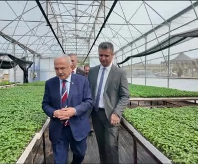 Ordu'da 300 bin yazlık sebze fidesi dağıtıma hazır — Başkan Güler: Halkın ekonomisine katkı sağlıyoruz